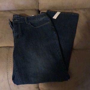 NWT Christopher Banks Modern Fit Denim